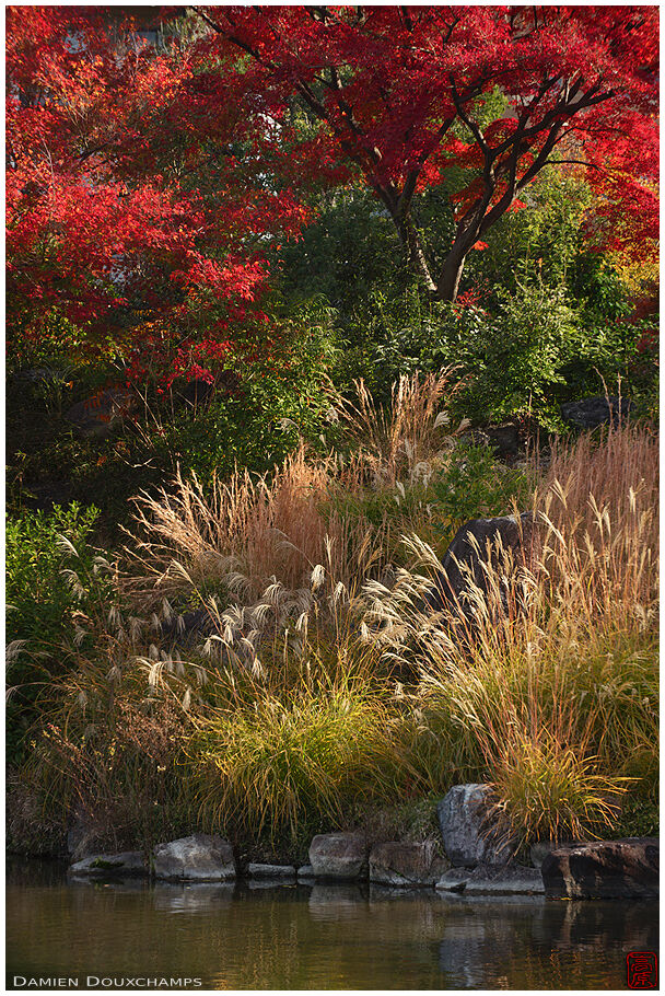 Shōsei-en (渉成園)