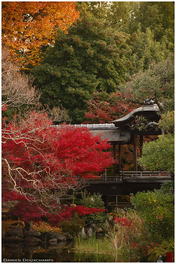 Shōsei-en (渉成園)