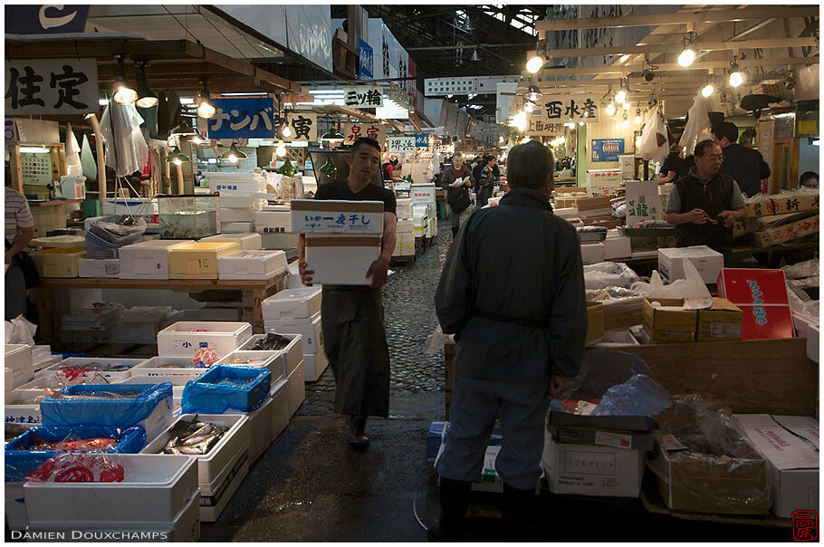 Inside Tsukiji Fish Market in Tokyo