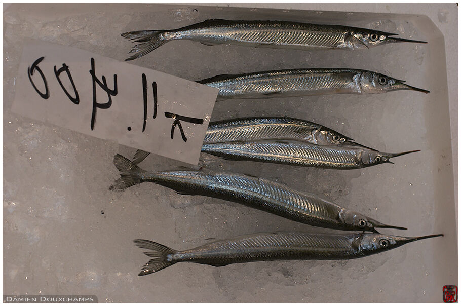 Silver fish for sale at Tsukiji market in Tokyo