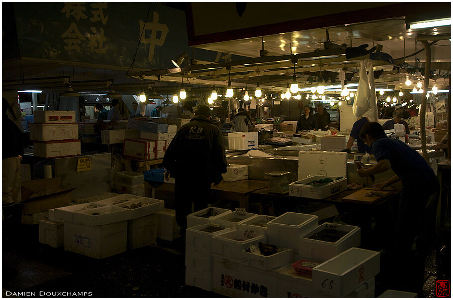 Inside Tsukiji fish market in Tokyo