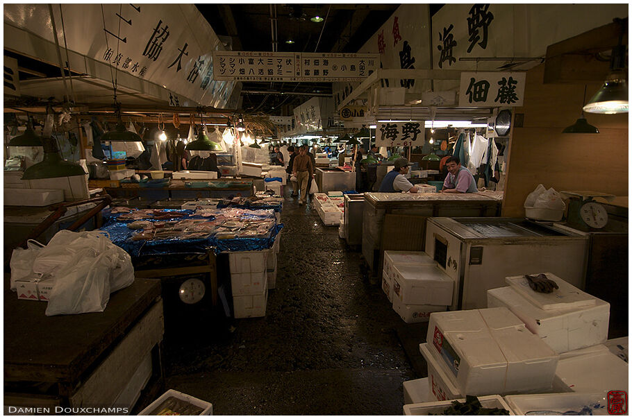 Empty alleys at 10:00AM, Tsukiji market