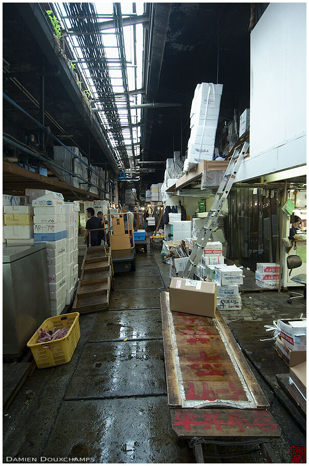 A back alley in Tsukiji market, Tokyo