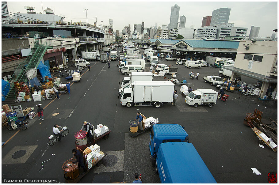 Overlooking a loading area in Tsukiji market, Tokyo