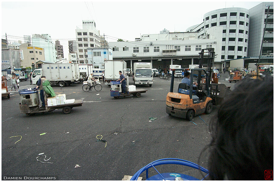 Riding a toretto in Tsukiji market, Tokyo