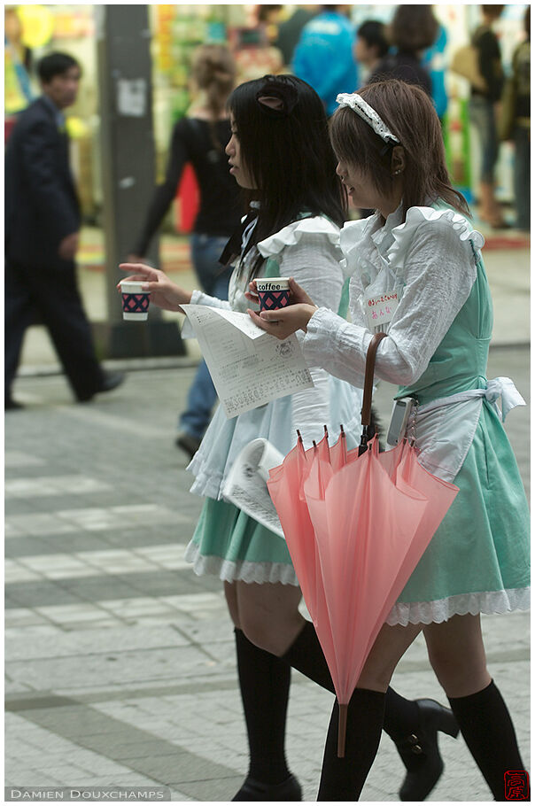 Maids distributing pamphlets in Akihabara