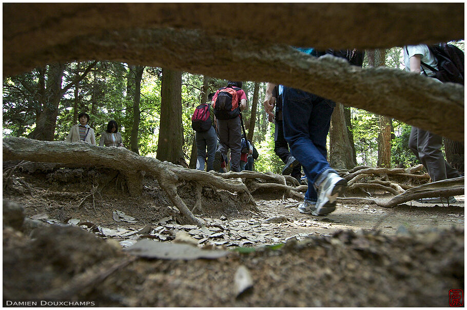 A very low shot during an IOC hike