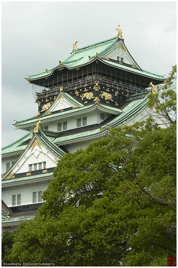 Osakajoo hiding behind a tree