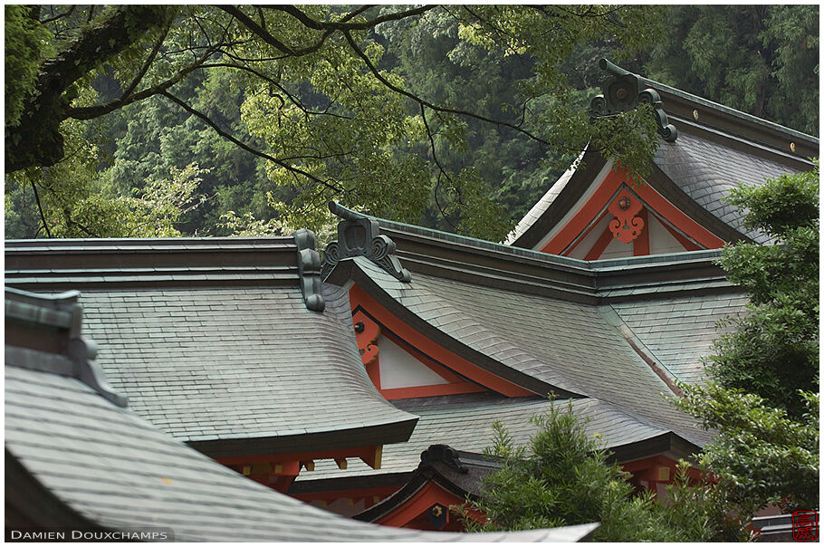 Temple roofs