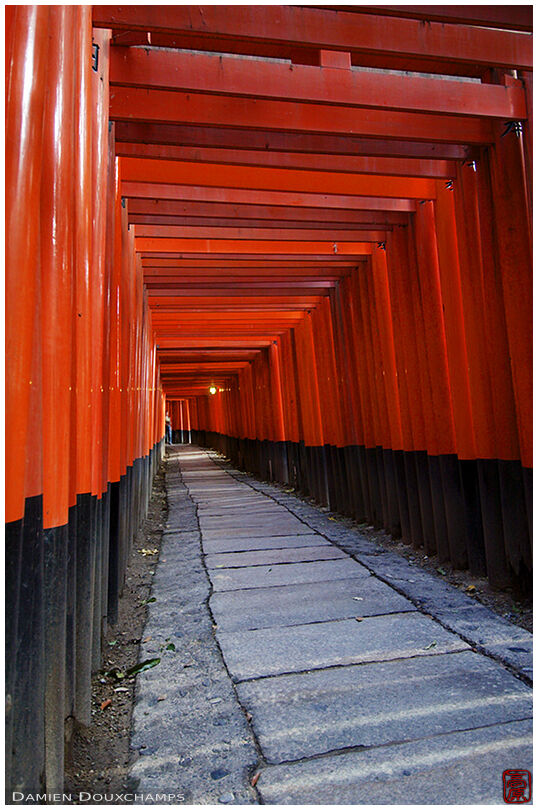 An alley of small torii