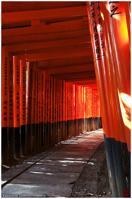 Writings in an alley of torii