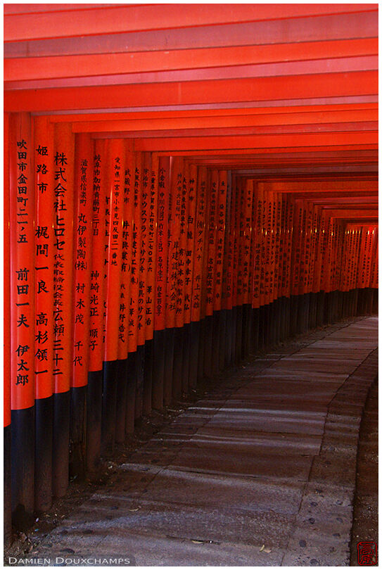Enter the torii cave...