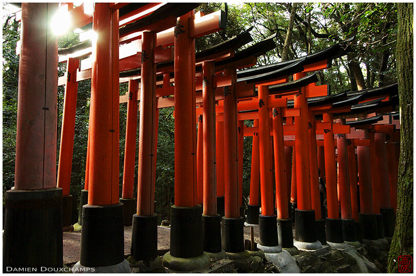 Sun shining through the torii