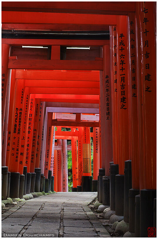 Large torii alley near the top of the hill
