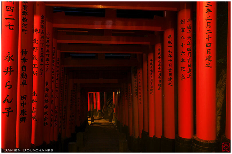 Torii-covered staircase at night