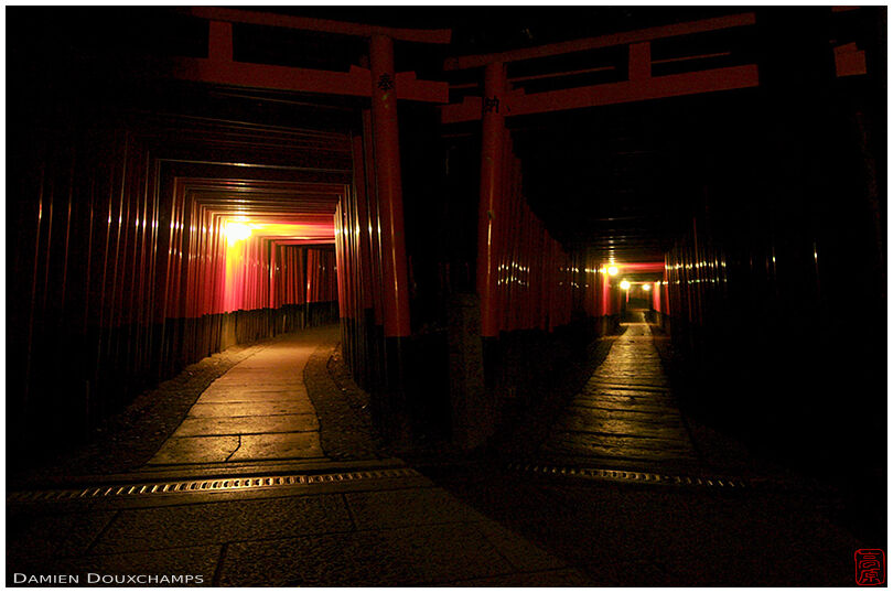 Lights in the twin torii alleys