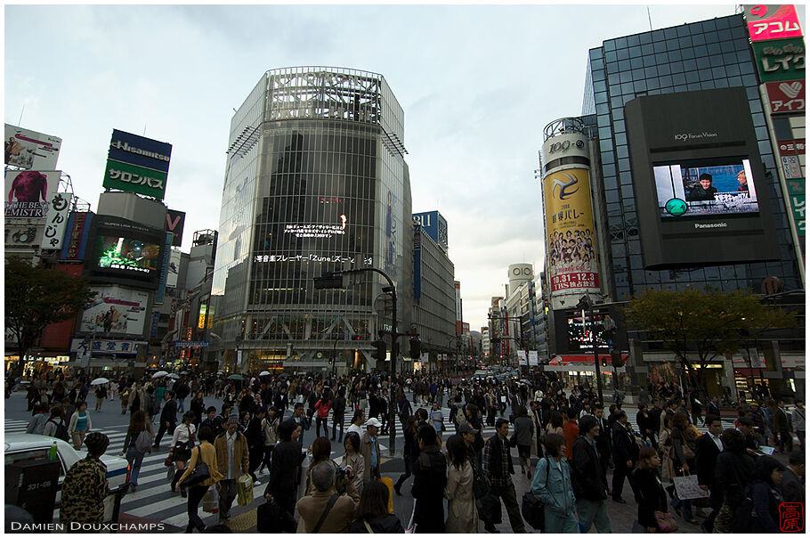 Hachiko crossing