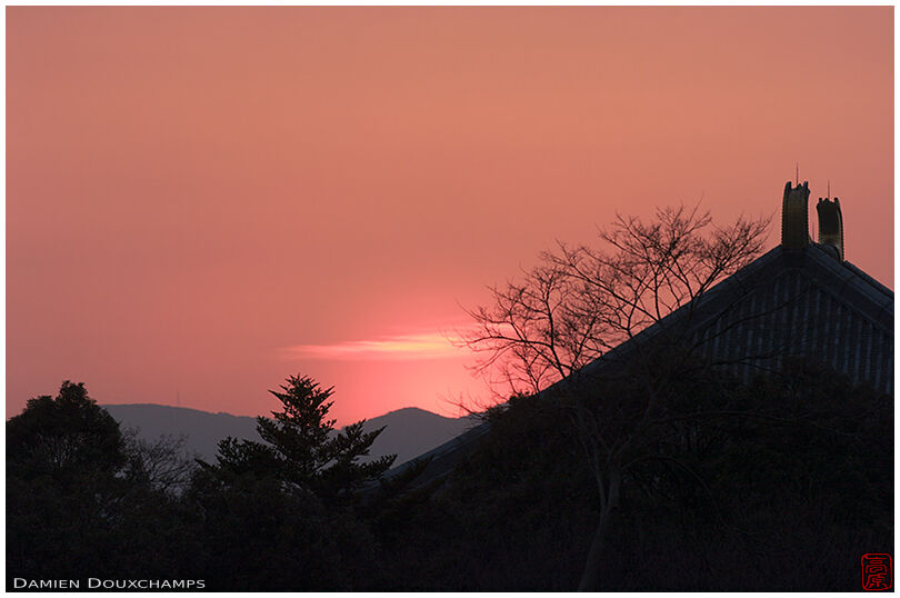 Todaiji at sunset