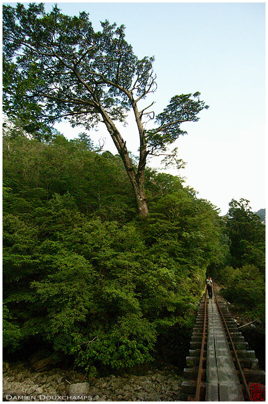 Narrow bridge