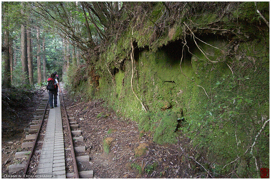 Walking on the old railroad track