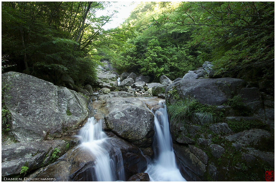 Small waterfall in the forest