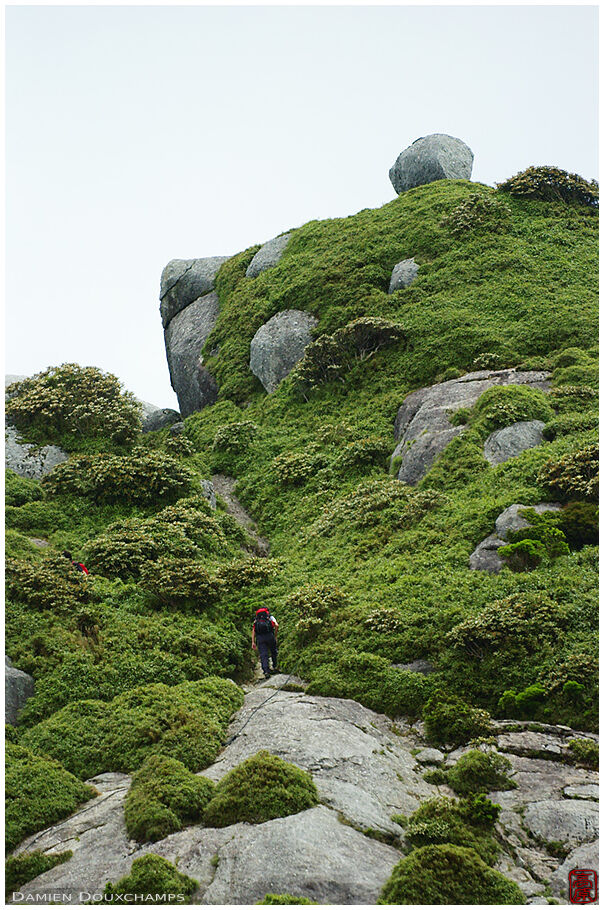 Rocky landscape near the top