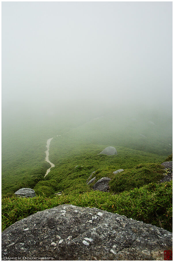 Hiking trail disappearing in the fog