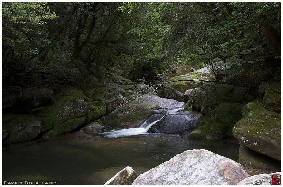 Small pond and river