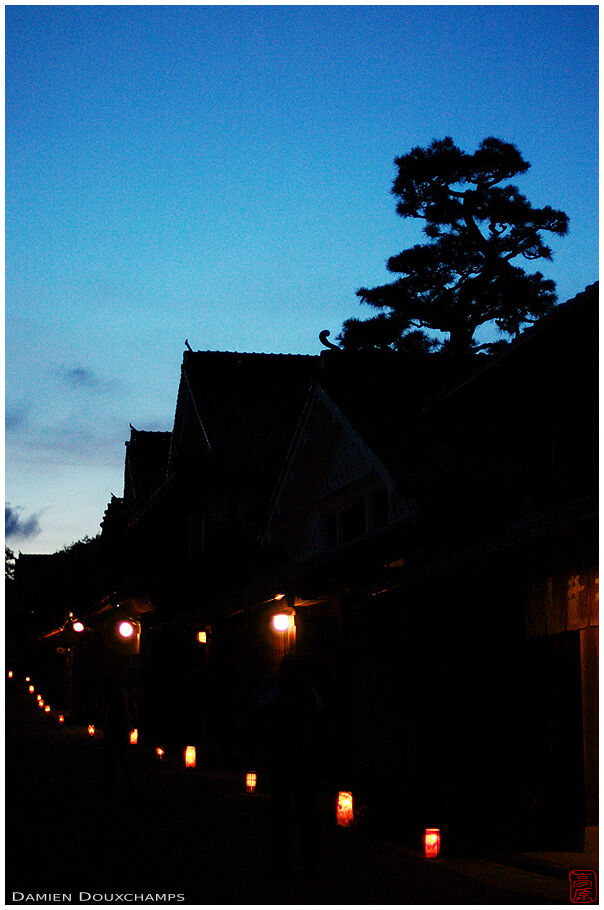 Lantern-lit street at night 1