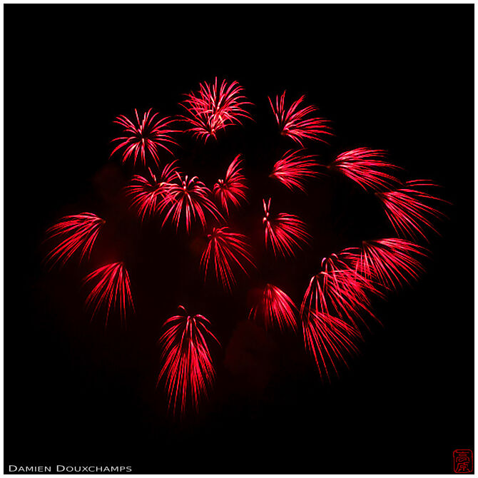 Fireworks (11/61)