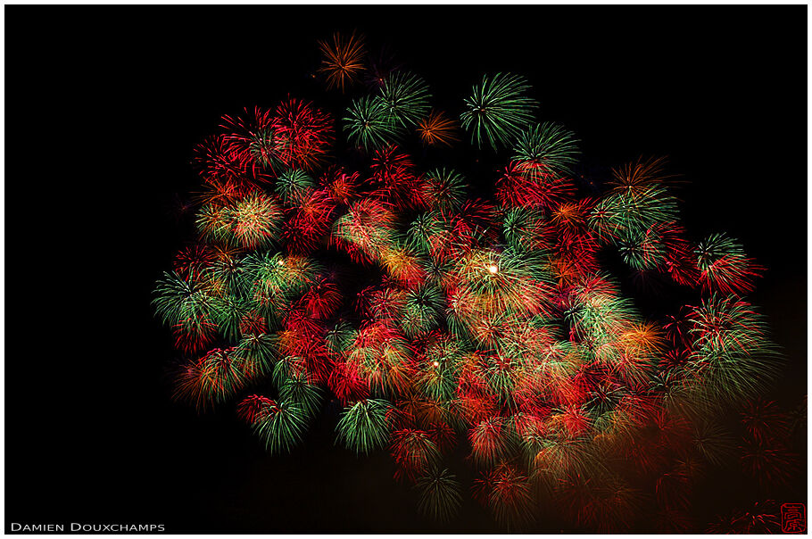 Fireworks (45/61)