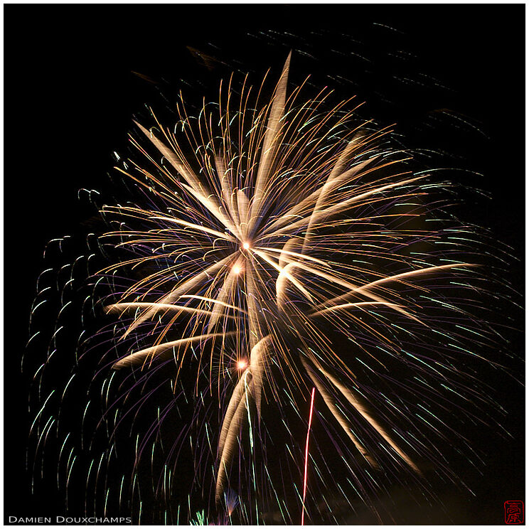 Fireworks (51/61)