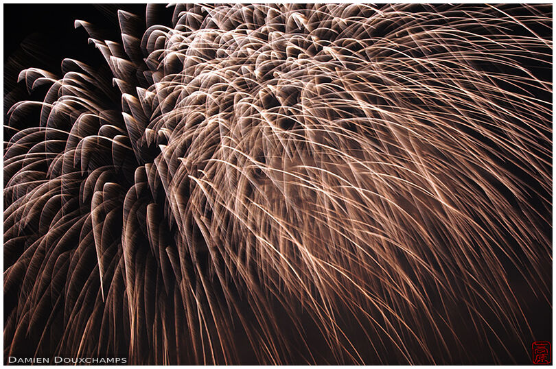 Fireworks (57/61)