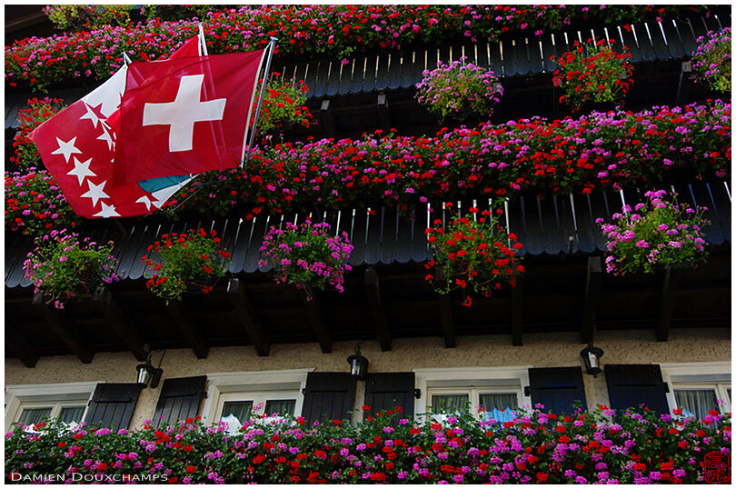 Red flowers for Swiss hotel