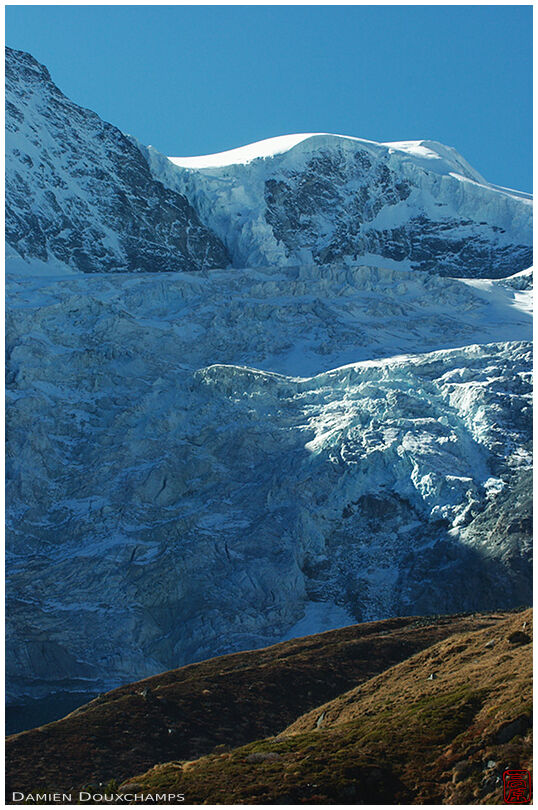 Glacier de Tsijiore Nouve