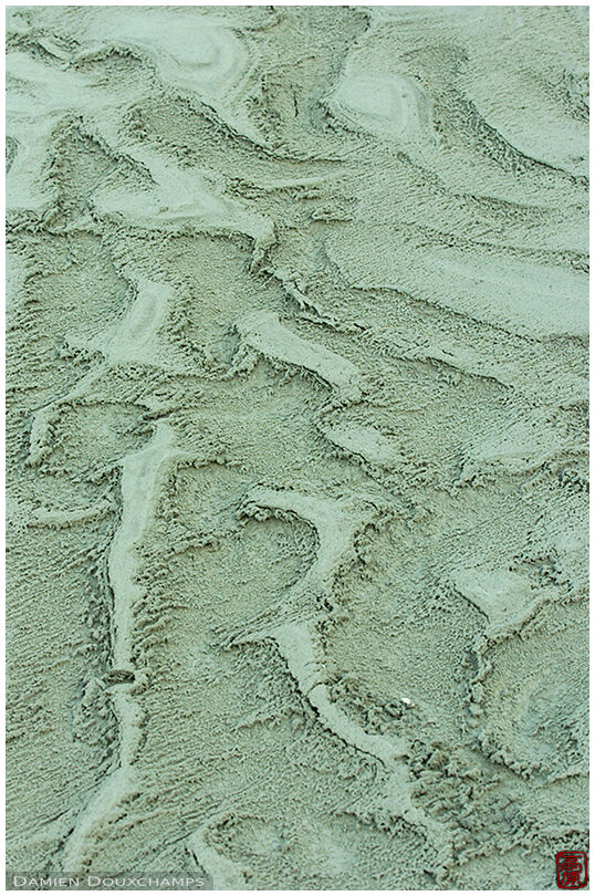 Patterns in the fine grained sand (1/2)
