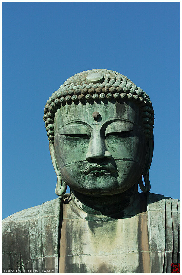 The head of the great Buddha (1/3)