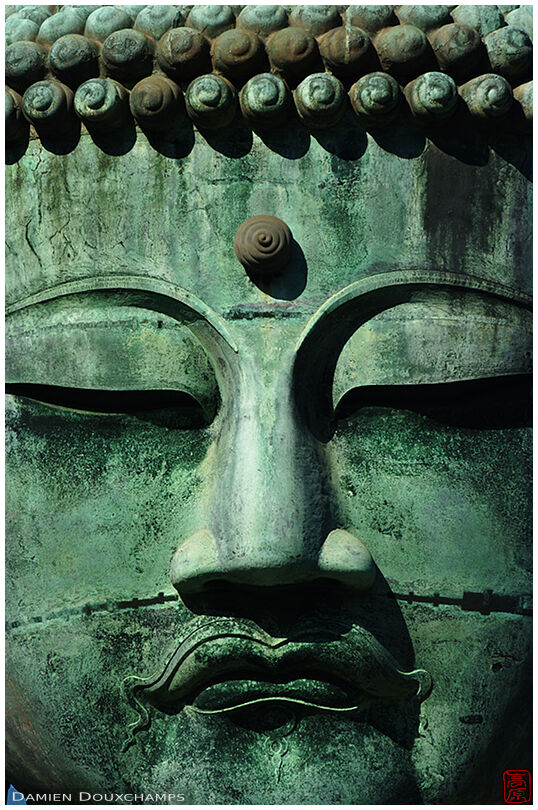 The head of the great Buddha (2/3)