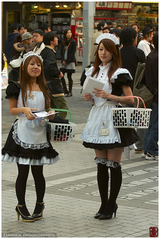 A couple of cute maids