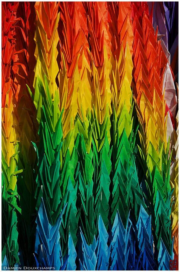 Rainbow cranes