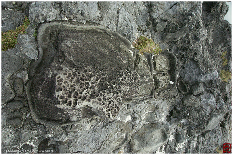 A strange rock formation