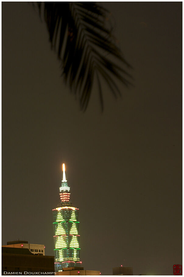 Taipei 101 belittled by a palmtree