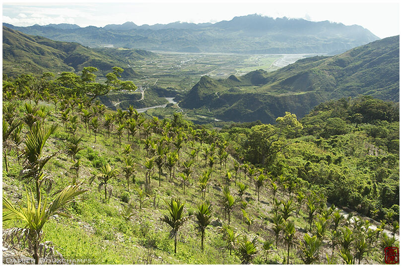 The east valley, overlooking Yanping, near Taitung