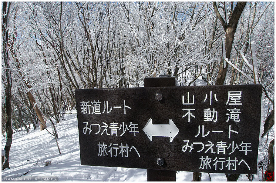 Snow covered forest with route indication