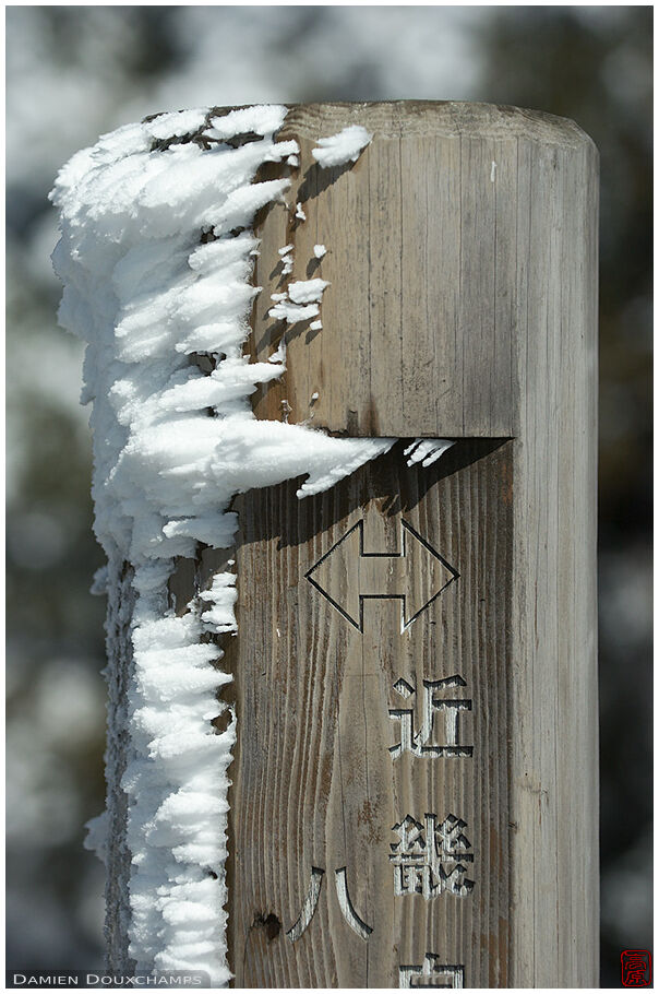 Windy hilltop sign in the winter