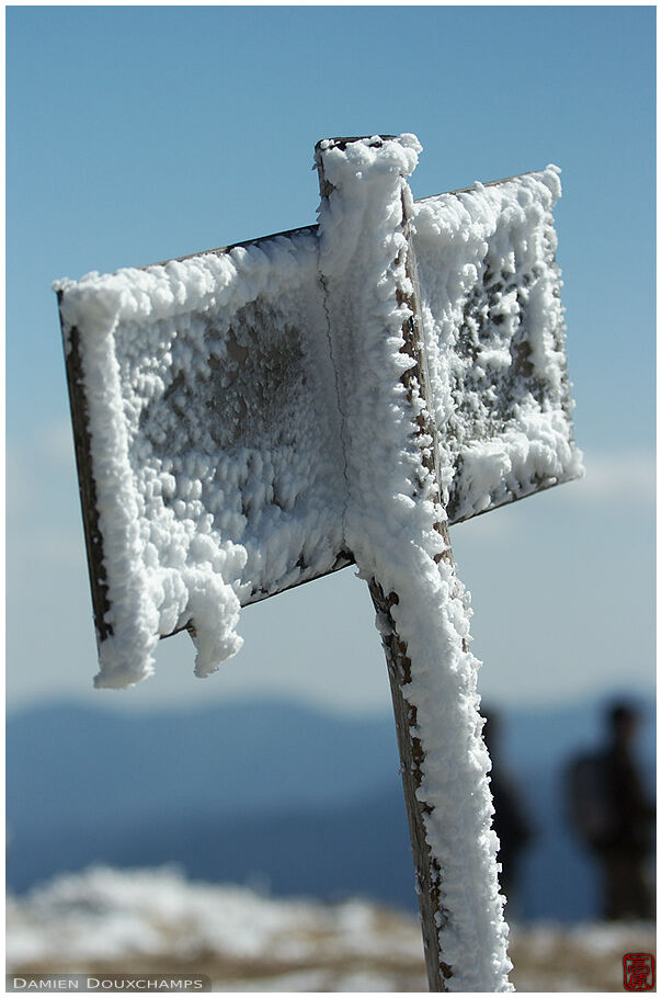 Snow aggregation on a pannel