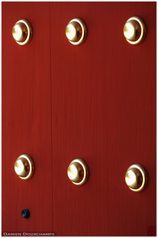 Door with golden buttons