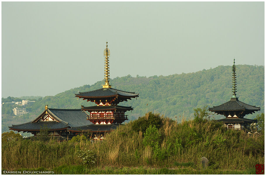 Yakushiji with the Nara hills in the background