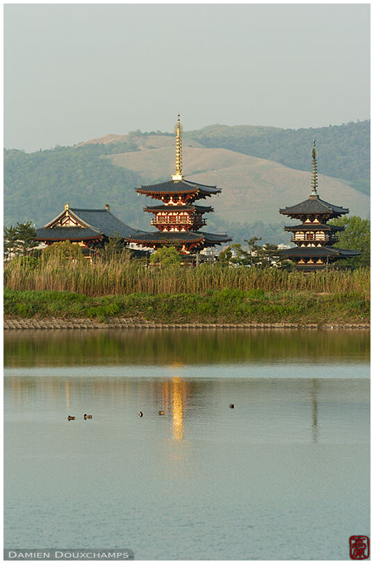Yakushiji reflecting on the Oi-Ike pond: 18:17