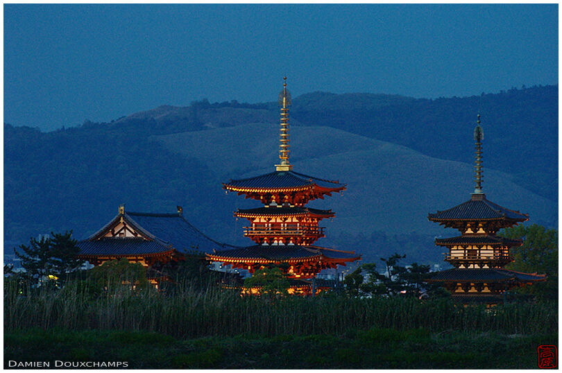 Yakushi-ji after sunset: 19:00